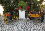Muthu Balaia Sol foto 29