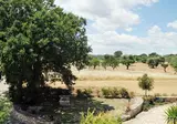 Masseria Selvaggi foto 11
