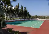 Aliathon Ionian foto 2