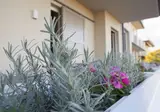 Hotel Palazzo Del Garda foto 18