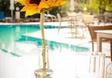 Villa Vicky Hersonissos foto 19