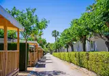 Camping & Bungalow Park Platja Cambrils foto 3