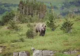 Ontdek Alaska foto 13