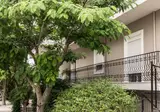 Villa Albanis foto 12