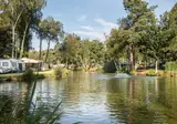 Camping Zavelbos foto 1
