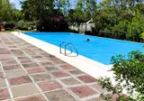 Camping Baia Paradiso foto 1
