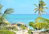 Reef & Beach Resort foto 30