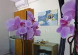 Fly & Go Dokos Studio foto 13