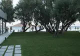 Regia Mare Beach Hotel Bodrum foto 5