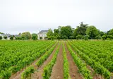 Le Parc De Fierbois foto 21