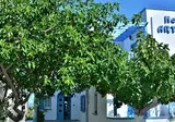 Artemis Hotel foto 3