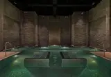 The Ritz-Carlton Ras Al Khaimah Al Wadi Deser foto 17