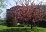 The Aquincum Hotel foto 21