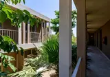 Hotel White Olive Premium Lindos foto 7