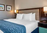 Comfort Inn Prospect Park-Brooklyn foto 18