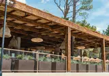 Pinadria Camping Resort foto 9