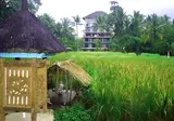 Plataran Hotel & spa foto 22