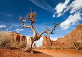 The Great West foto 1