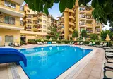 Kleopatra Royal Palm foto 1