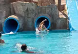 Europa Splash foto 10