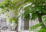Villa Albanis foto 11