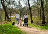 Vakantiepark De Rimboe en De Woeste Hoogte foto 43