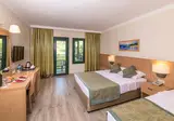 Grand Yazici Club Marmaris Palace foto 10