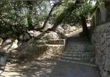 Bordoy Continental Valldemossa foto 5