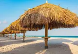 Embassy Suites by Hilton Aruba Resort foto 18