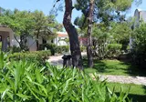 Village Baia Degli Aranci foto 23