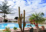 Adonis Bungalows foto 11