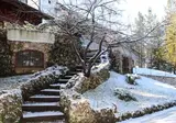 Orso Bianco foto 8