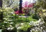 Dimora Morelli B&B foto 24
