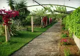 Aumallia Hotel & Spa foto 11