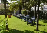 Fortunella foto 22