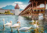 Grand Tour Zwitserland foto 1