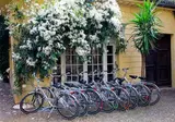Hotel Greif foto 21