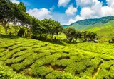 Explore Magnificent Malaysia foto 1