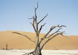Explore Impressive Namibia foto 2