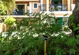 Small Village foto 10