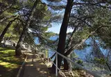 Vakantiepark Galijot Plava Laguna foto 12