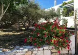 Amaryllis Paros Beach Hotel foto 20