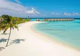 Outrigger Maldives Maafushivaru Resort foto 3