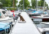 MarinaPark Bad Nederrijn foto 14