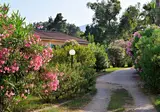 Vakantiepark Pinea Mare foto 6