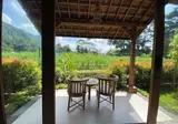 Kubu Sakian foto 25