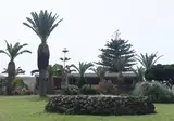 Hotel Dessole Malia Beach foto 5