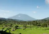 Bali in stijl foto 3
