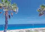 Tabaibas foto 5