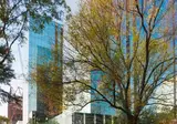 Krystal Grand Suites Insurgentes foto 2